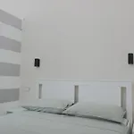 Renovated Apartment With Balcony In San Lorenzo - With Elevator